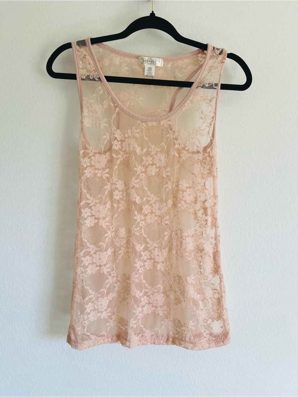 Bozzolo Sheer Floral Lace Chemise in Blush